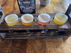 Wonder Aleworks beer tasting